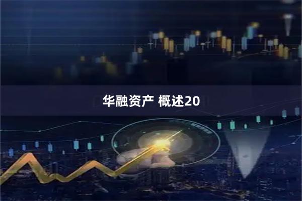 华融资产 概述20