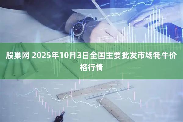 股巢网 2025年10月3日全国主要批发市场牦牛价格行情