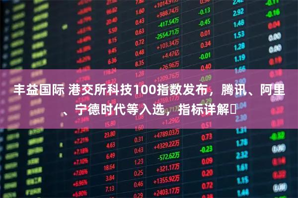 丰益国际 港交所科技100指数发布，腾讯、阿里、宁德时代等入选，指标详解⇒