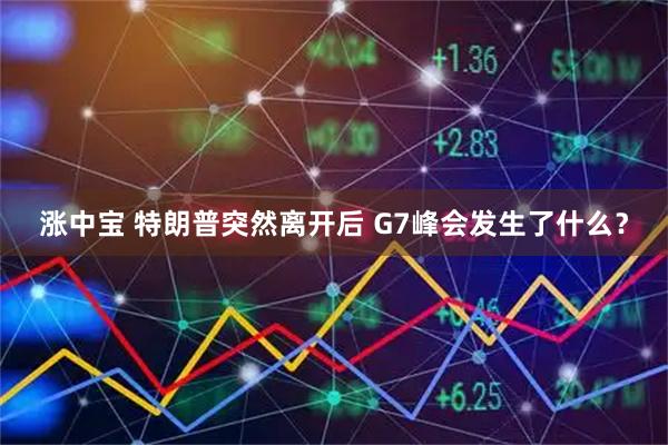 涨中宝 特朗普突然离开后 G7峰会发生了什么？