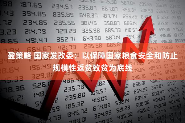 盈策略 国家发改委：以保障国家粮食安全和防止规模性返贫致贫为底线