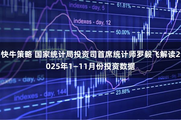 快牛策略 国家统计局投资司首席统计师罗毅飞解读2025年1—11月份投资数据